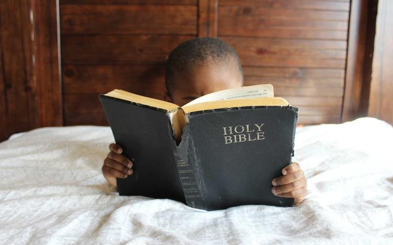 Impacto del Fenómeno del Niño en la economía agropecuaria
